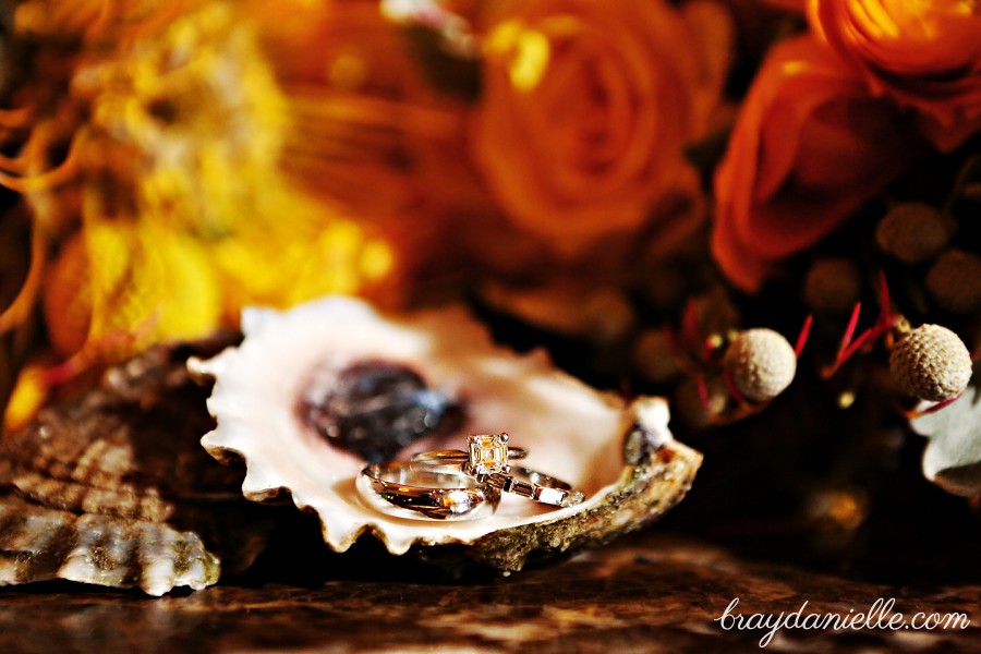 Close up of wedding rings oyster shells