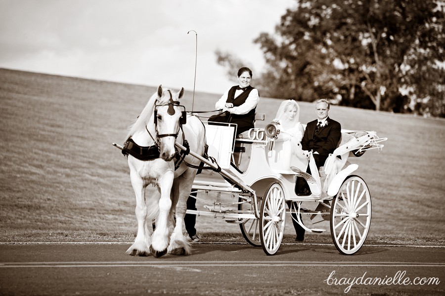 Wedding day horse and carriage