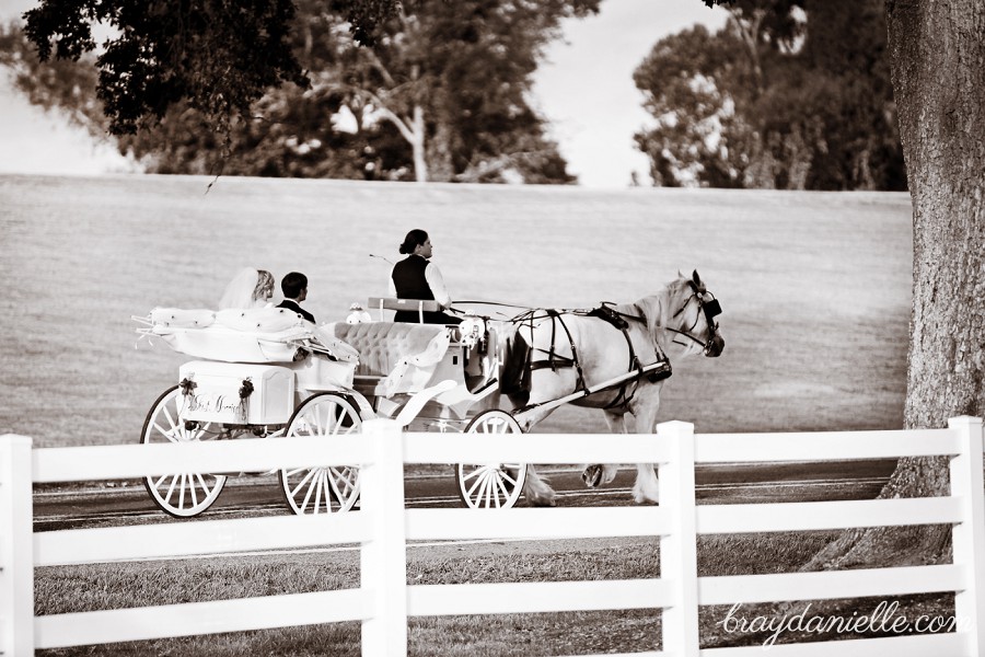 Bride and groom riding away in a carriage