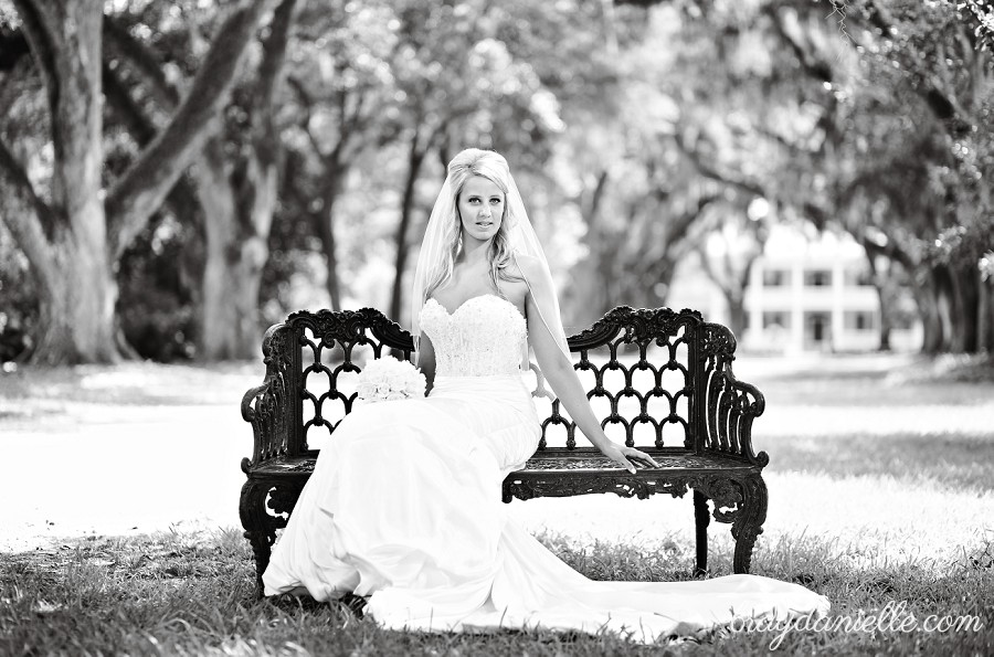 bride sitting in alley of oak trees by Bray Danielle Photography 