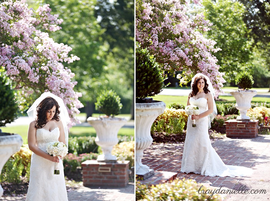 Bride under blooming tree bridal portrait by Bray Danielle Photography 